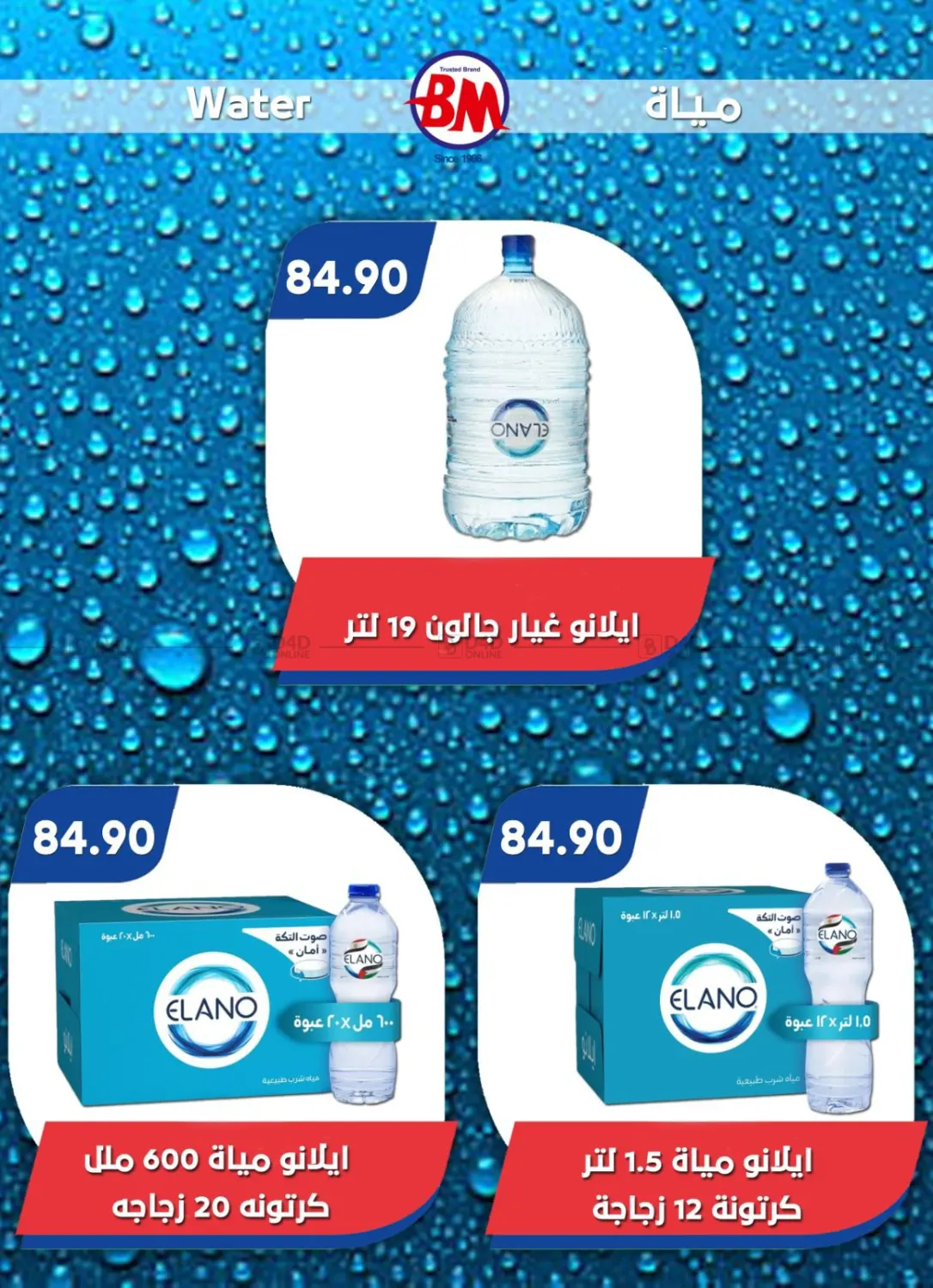 Special Offer in Cairo