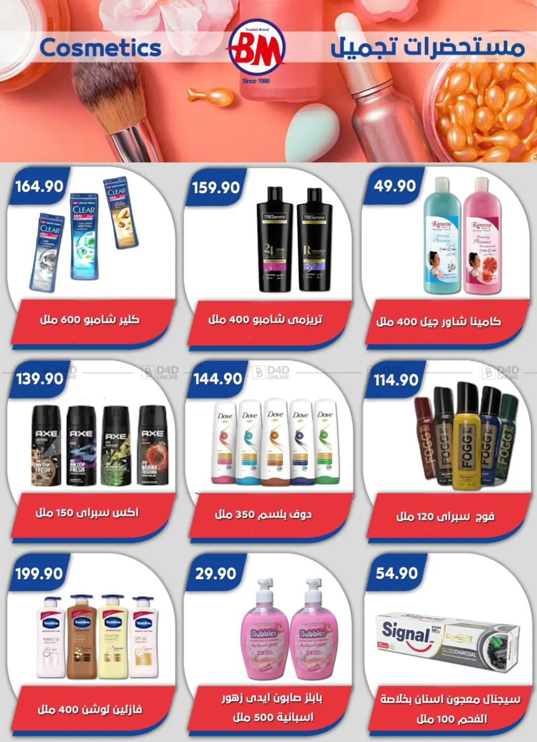 Special Offer in Cairo