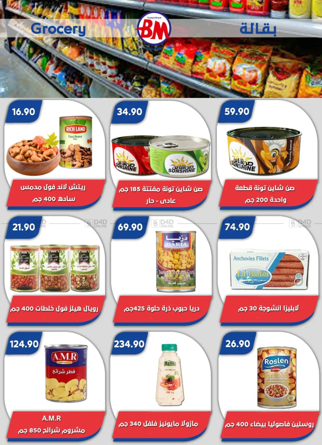 Special Offer in Cairo