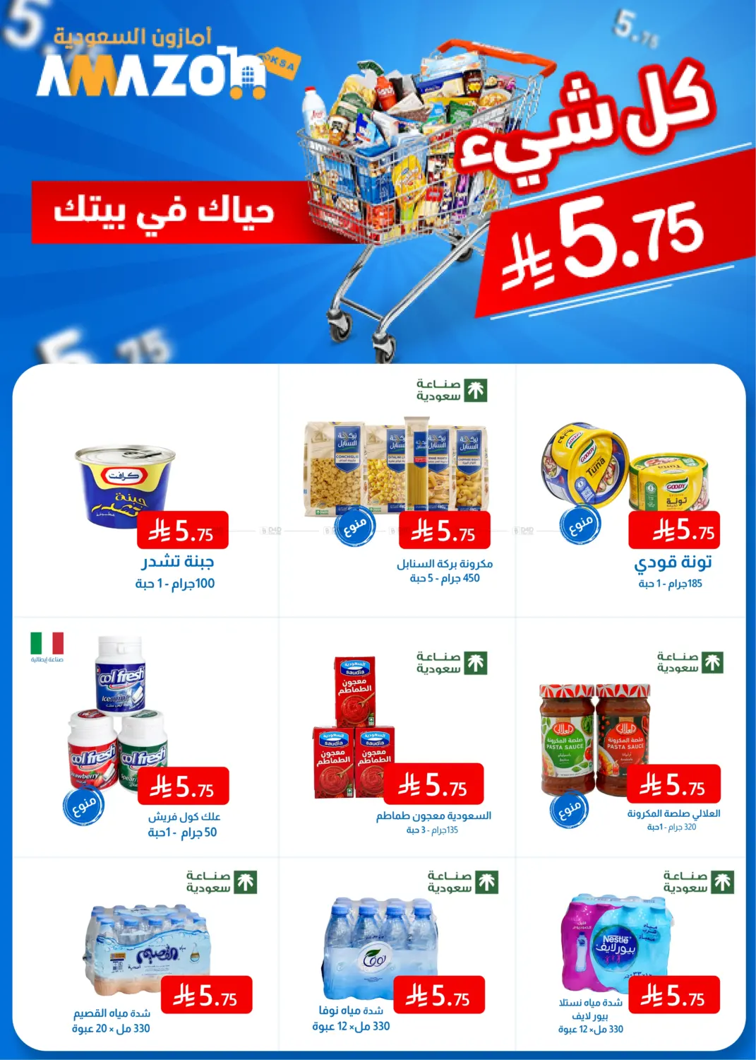Everything at 5.75 Riyal in Al Hasa