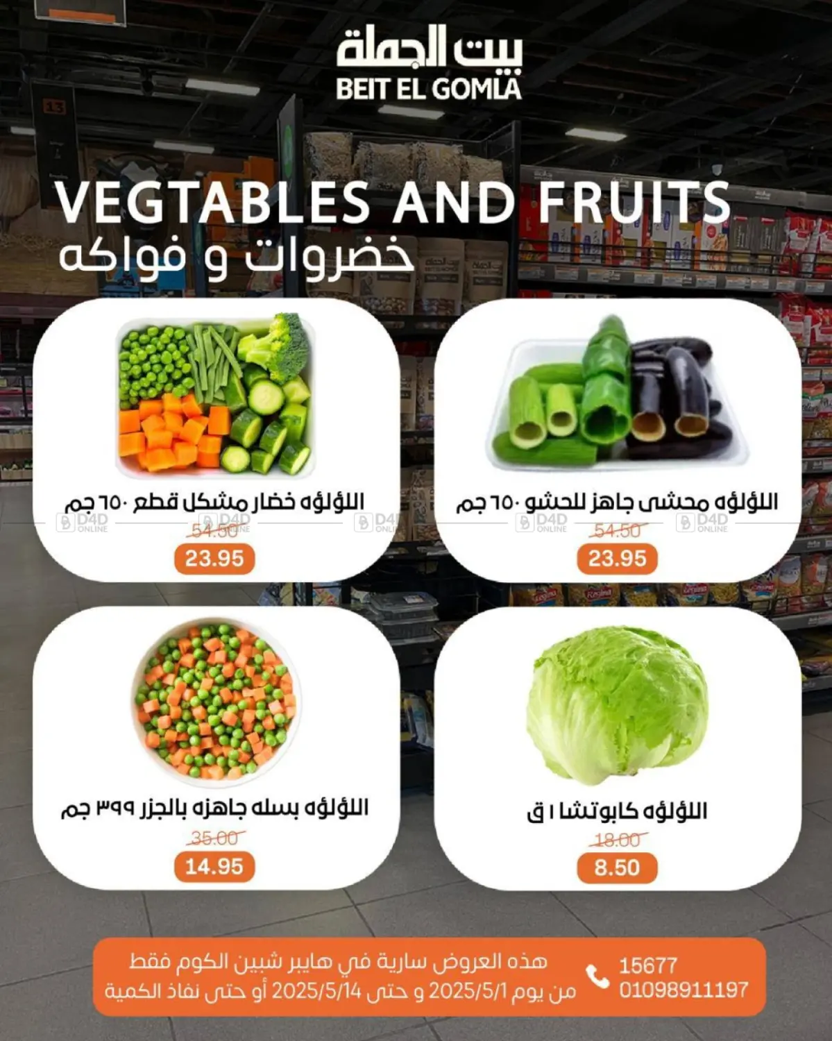 عروض عيد ميلاد in القاهرة