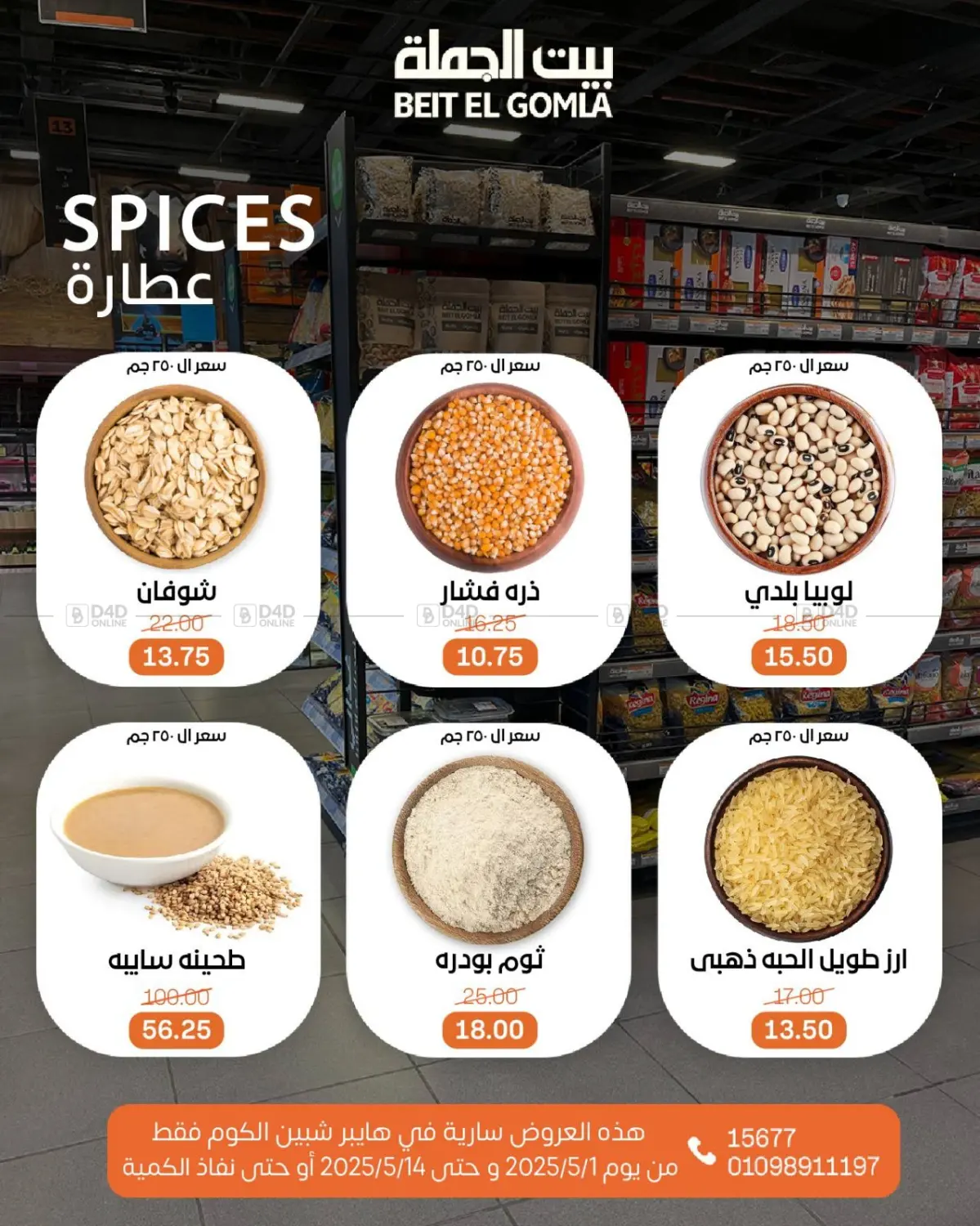 عروض عيد ميلاد in القاهرة