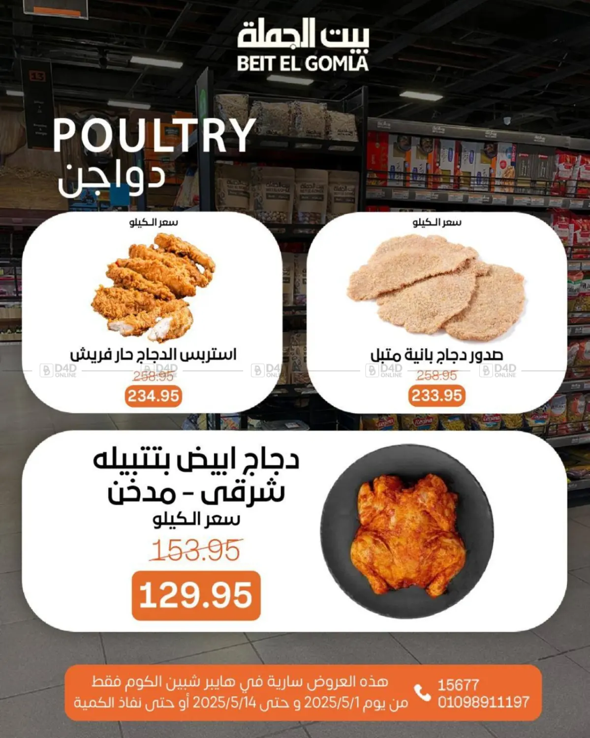 عروض عيد ميلاد in القاهرة