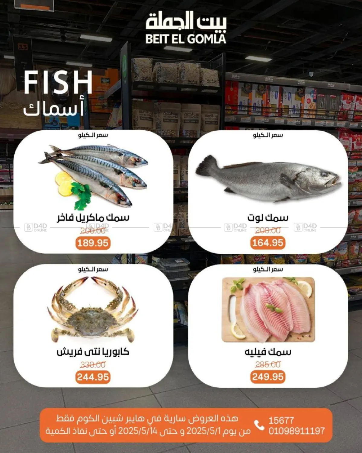 عروض عيد ميلاد in القاهرة