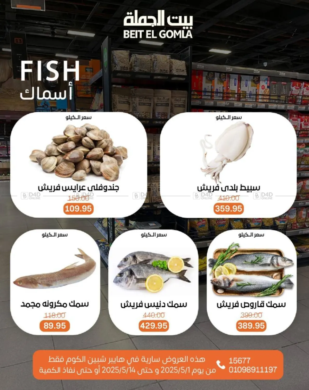 عروض عيد ميلاد in القاهرة