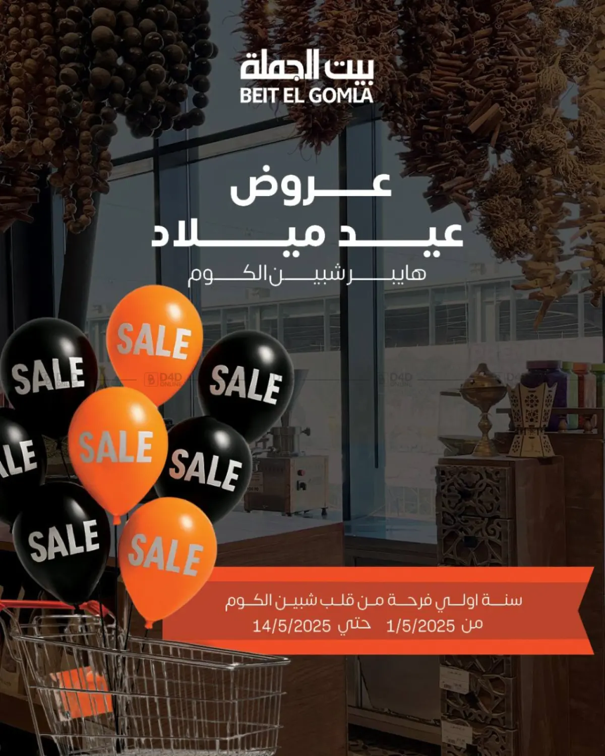 عروض عيد ميلاد in القاهرة