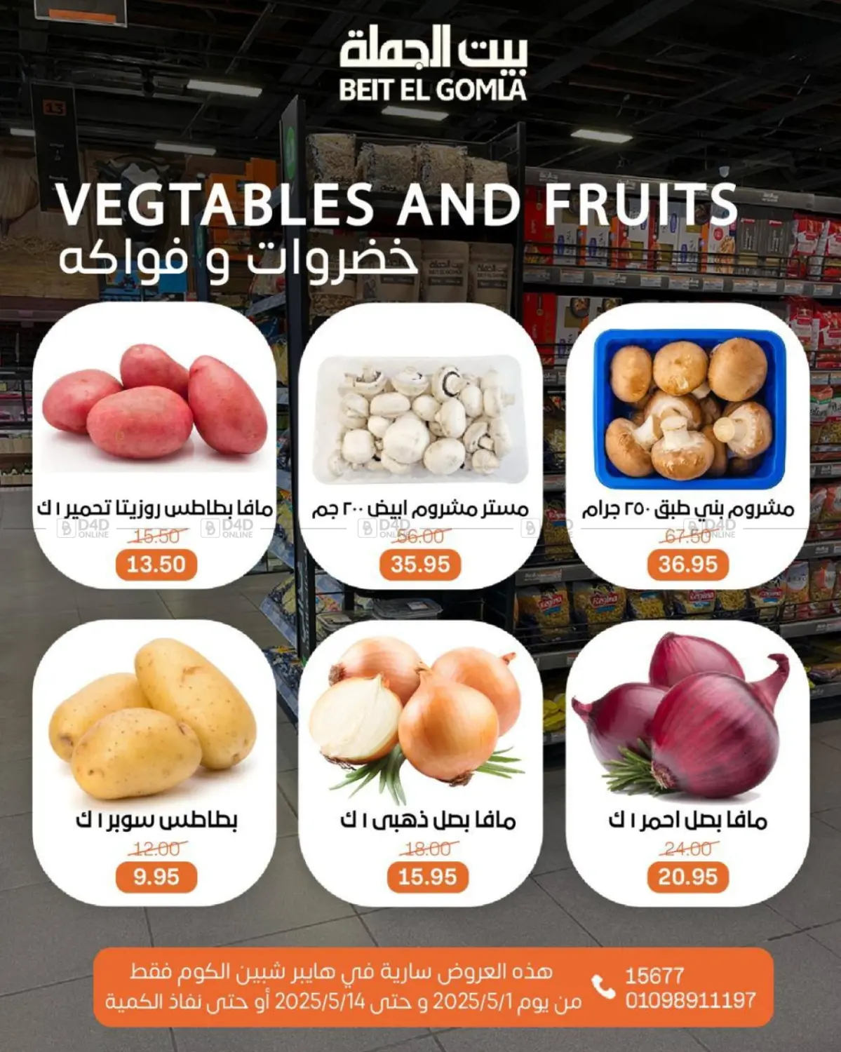 عروض عيد ميلاد in القاهرة