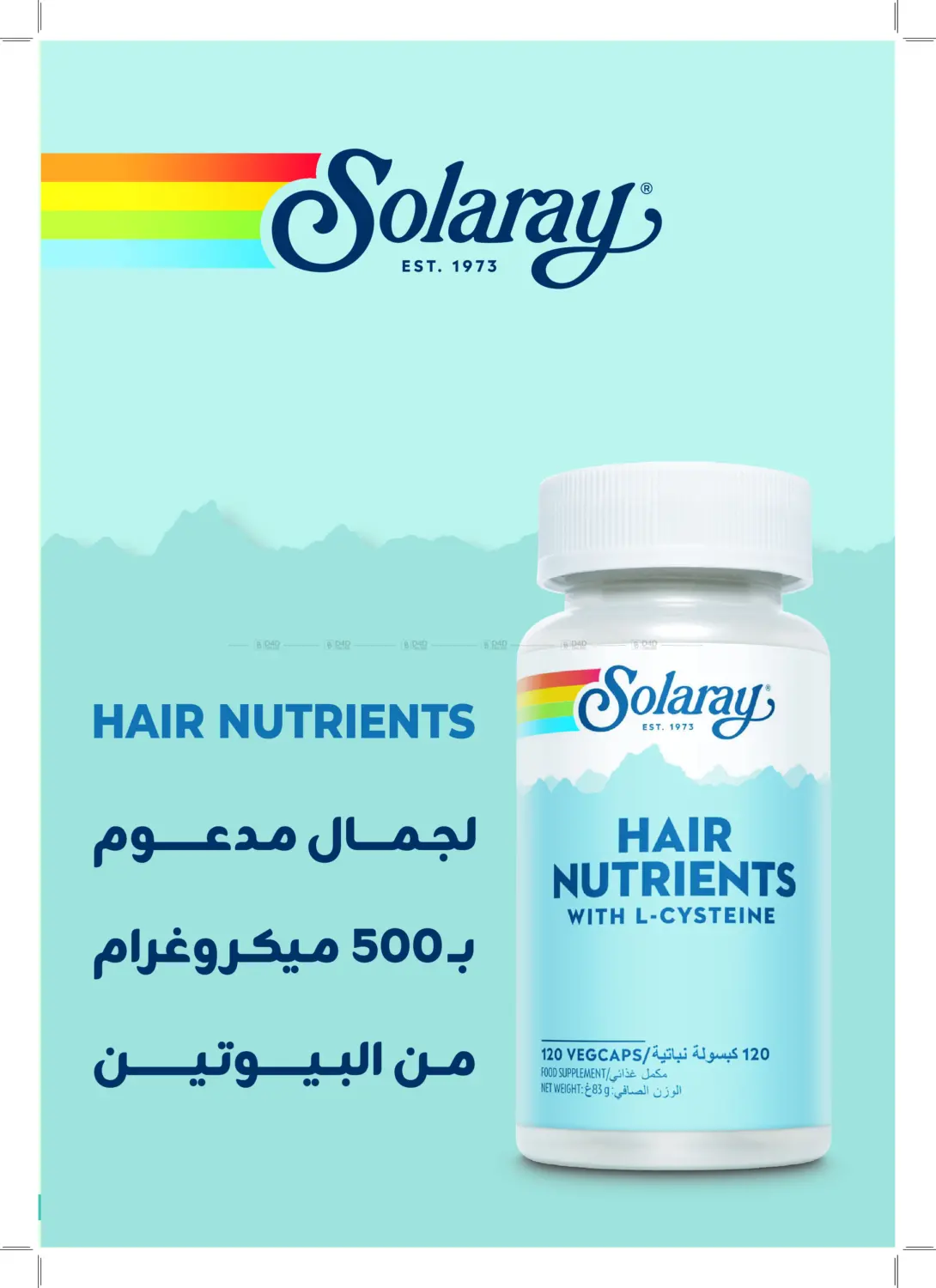 Super Offers in Khamis Mushait