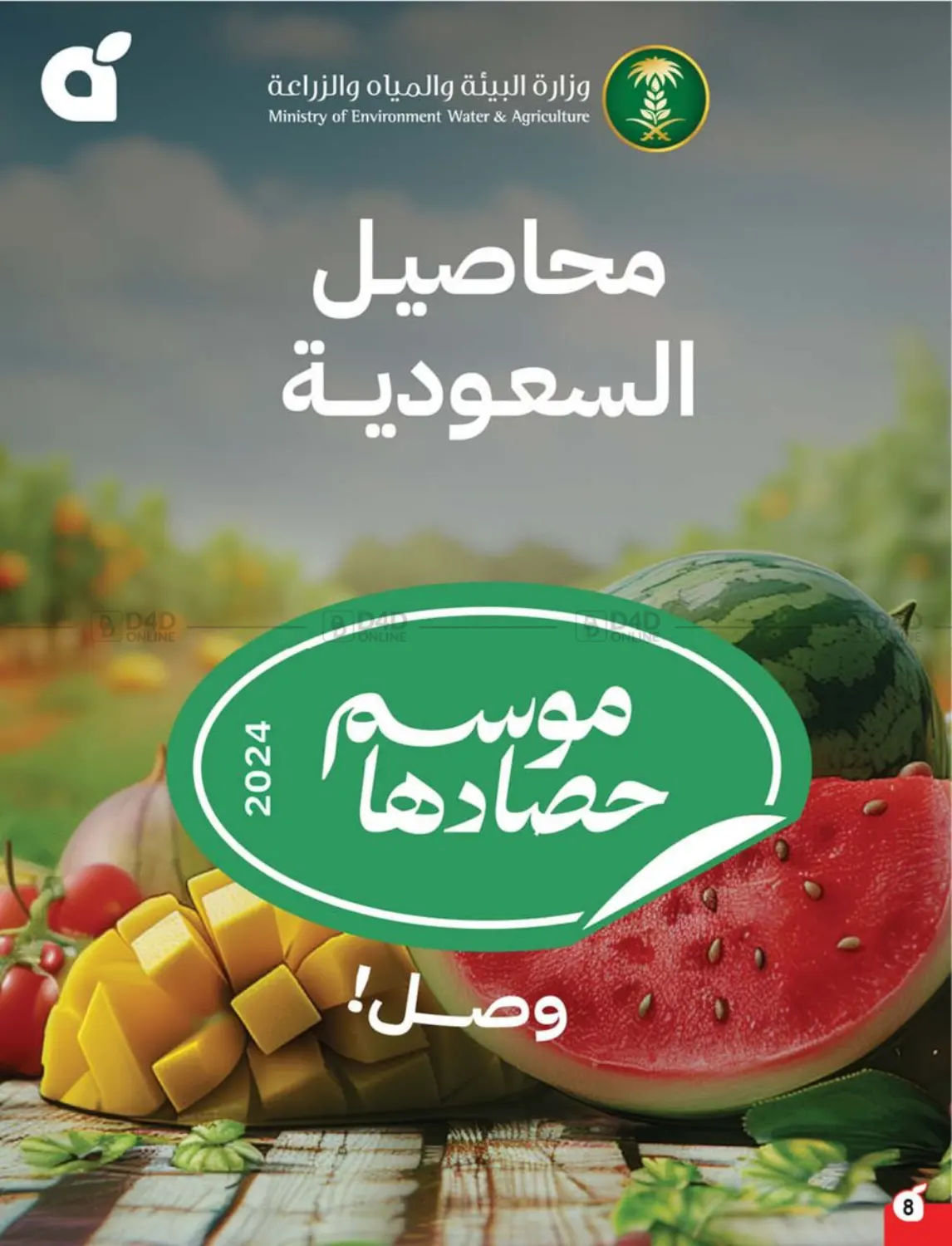 Save Up To Half Price in Mecca