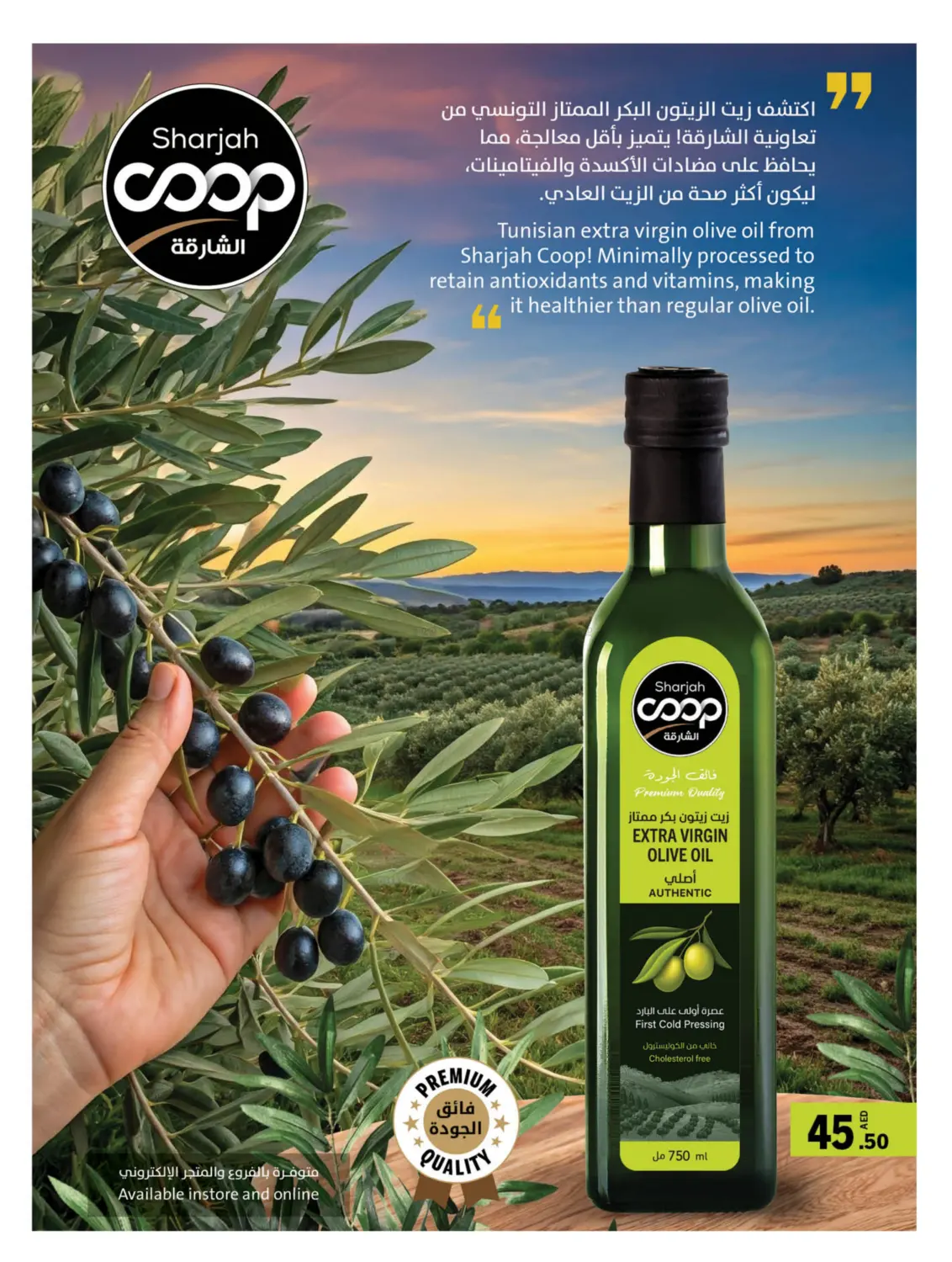 عروض كبرى in الشارقة / عجمان