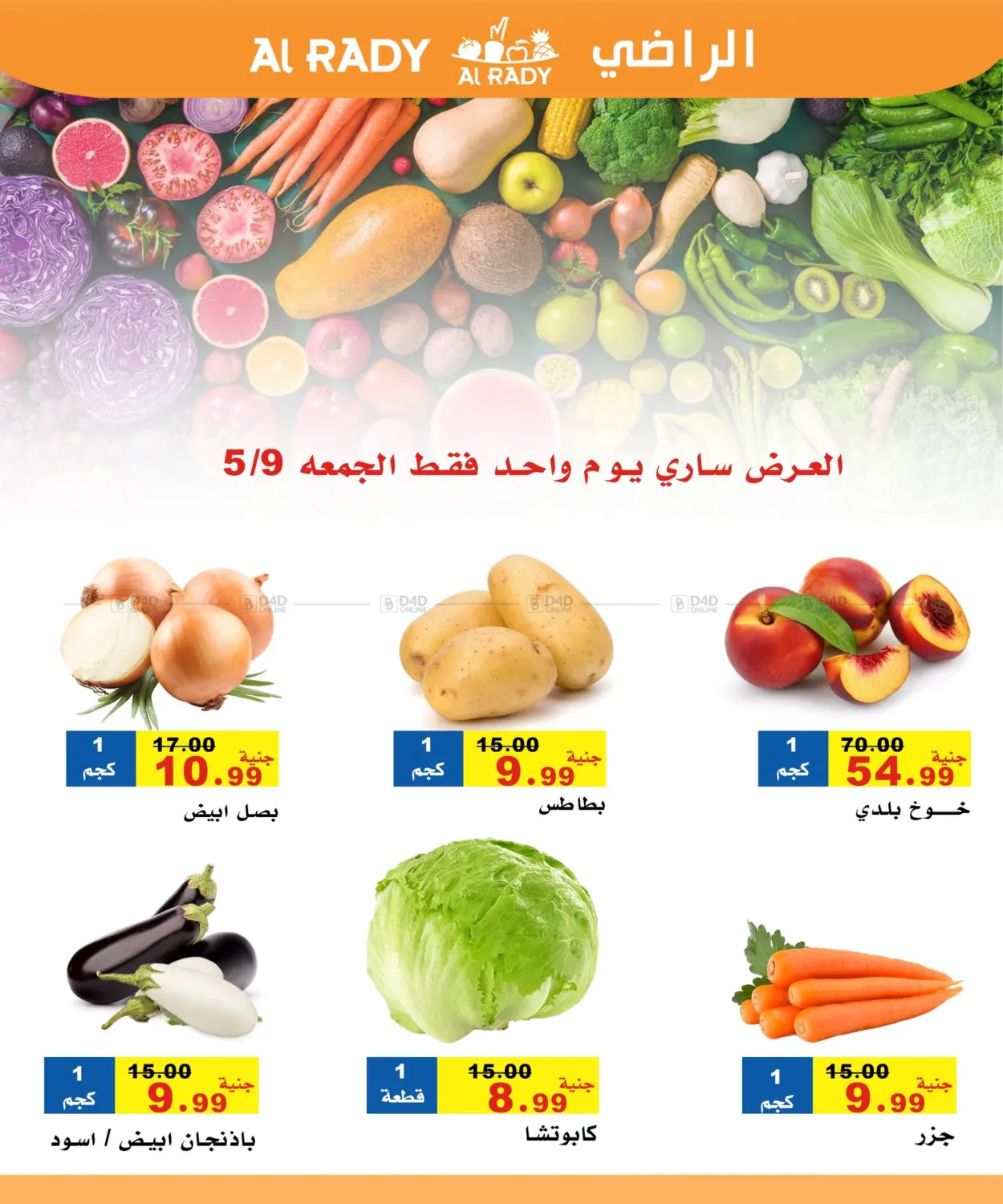 عروض خاصة in القاهرة