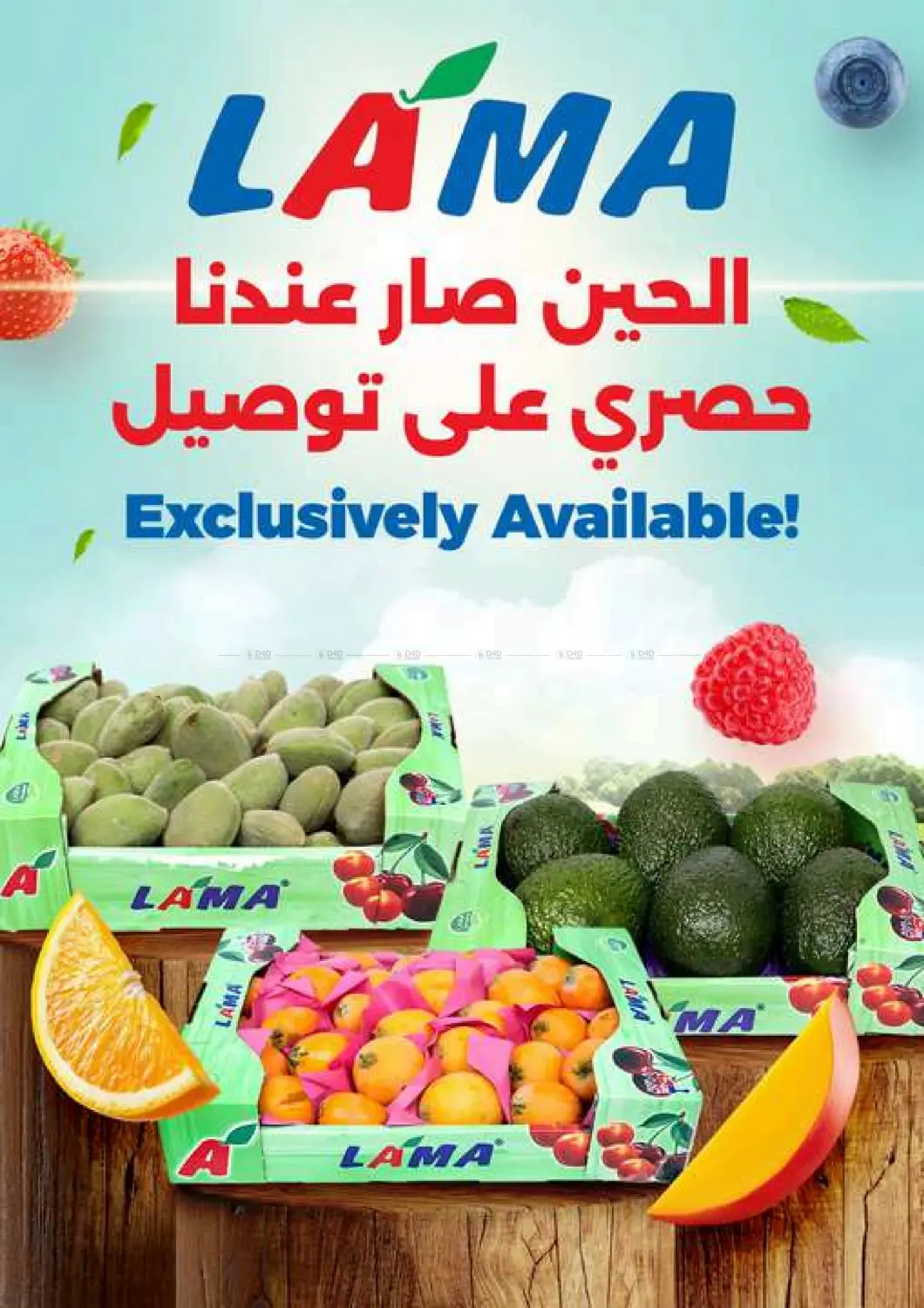 ميجا٩٠٠  فلس in محافظة الأحمدي