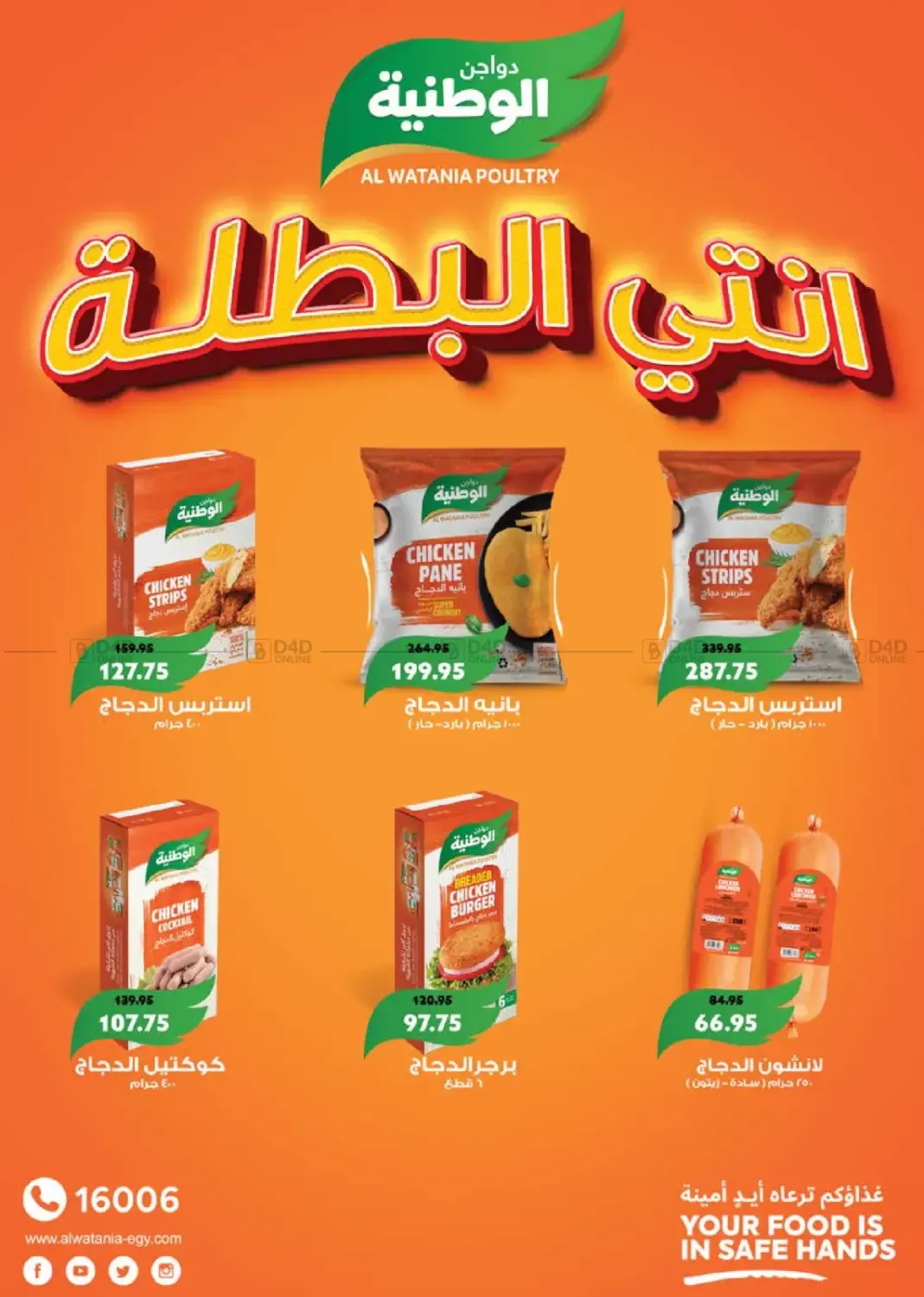 عروض خاصة in القاهرة