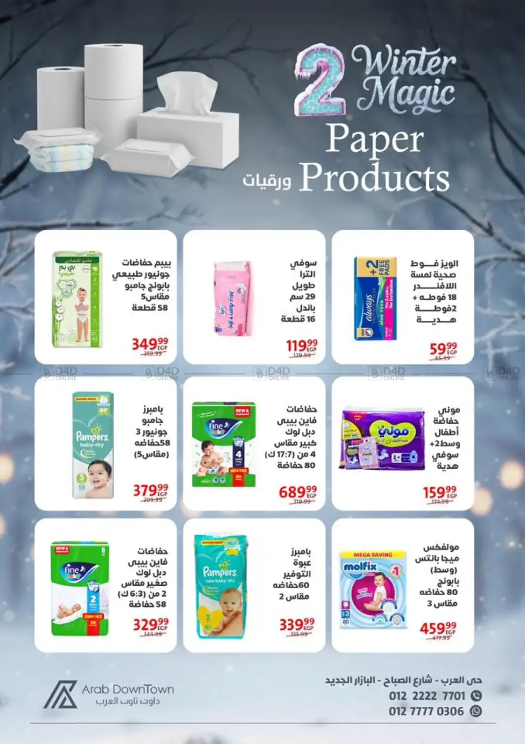 Winter Magic in Cairo