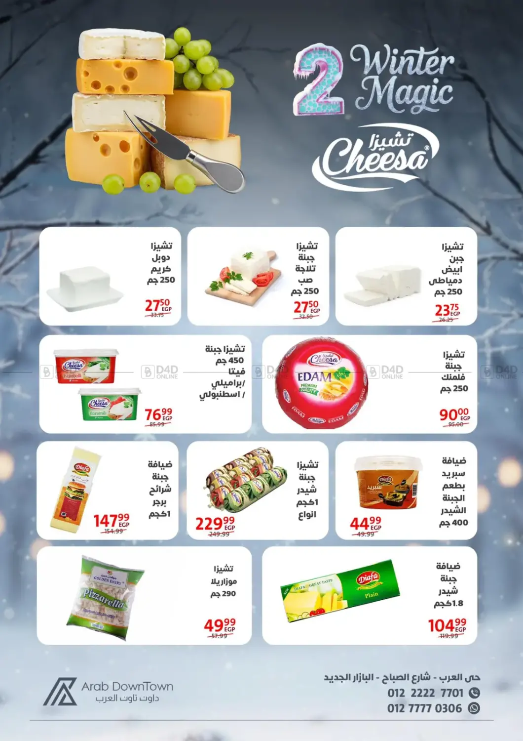 Winter Magic in Cairo