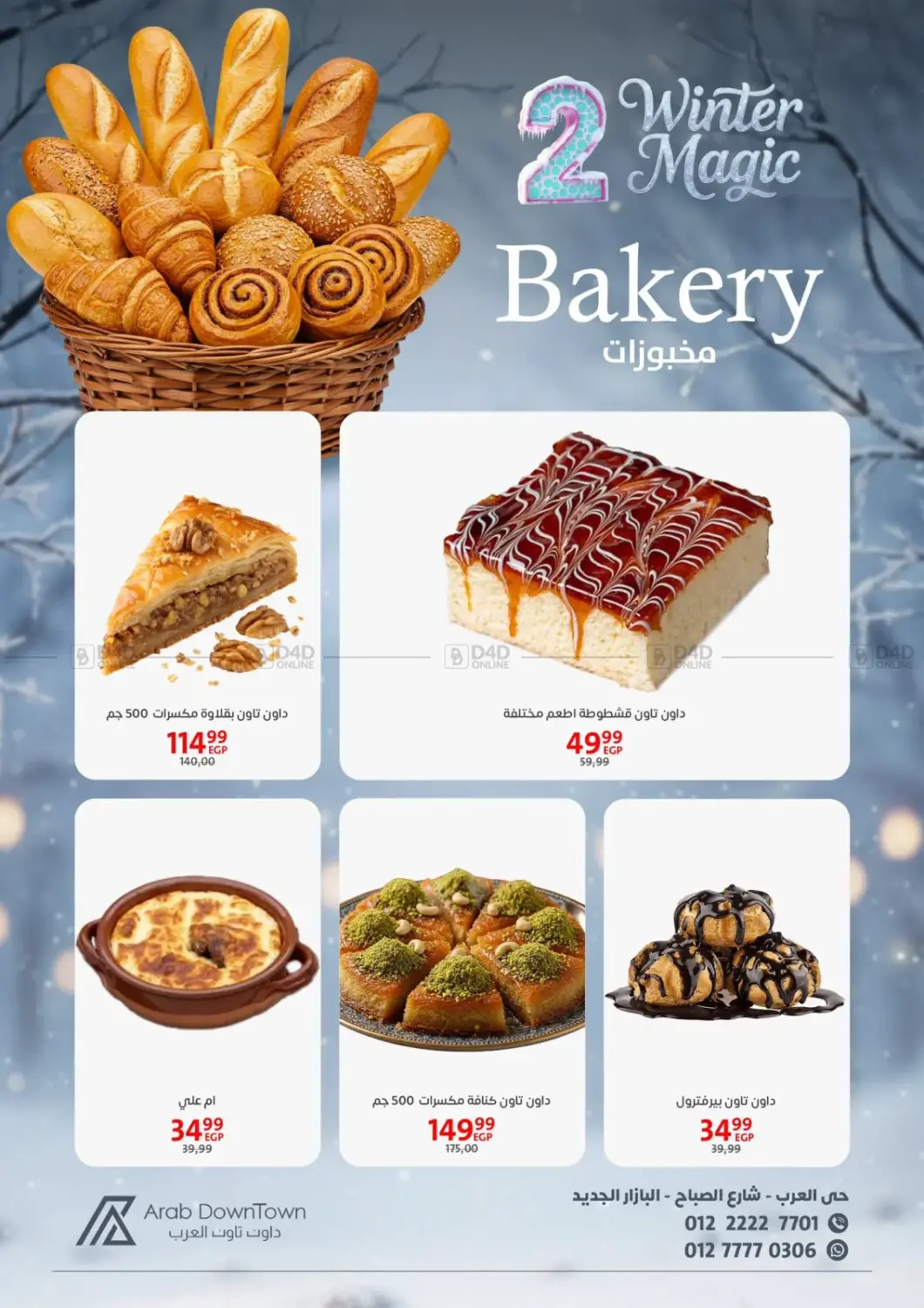 Winter Magic in Cairo