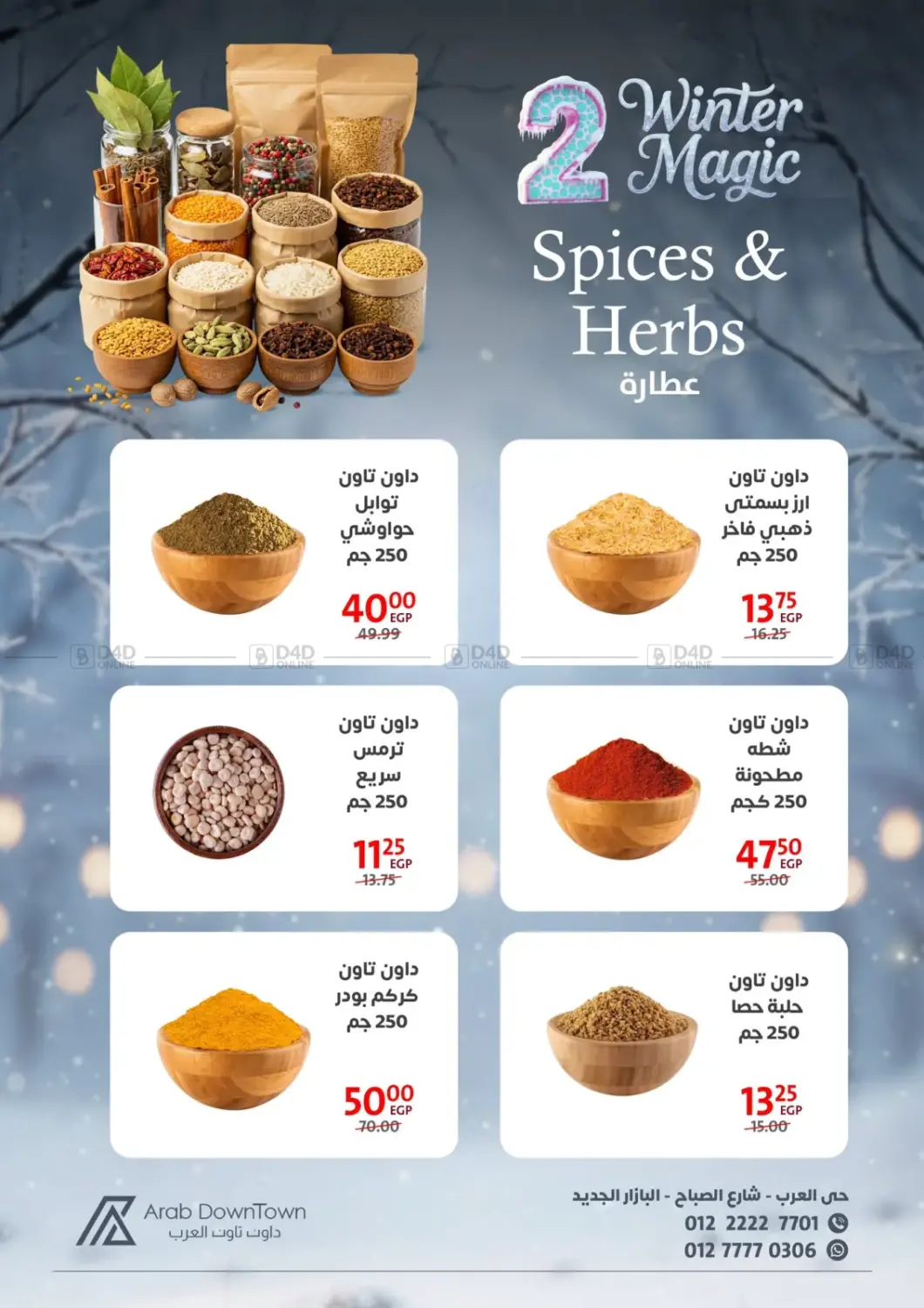 Winter Magic in Cairo