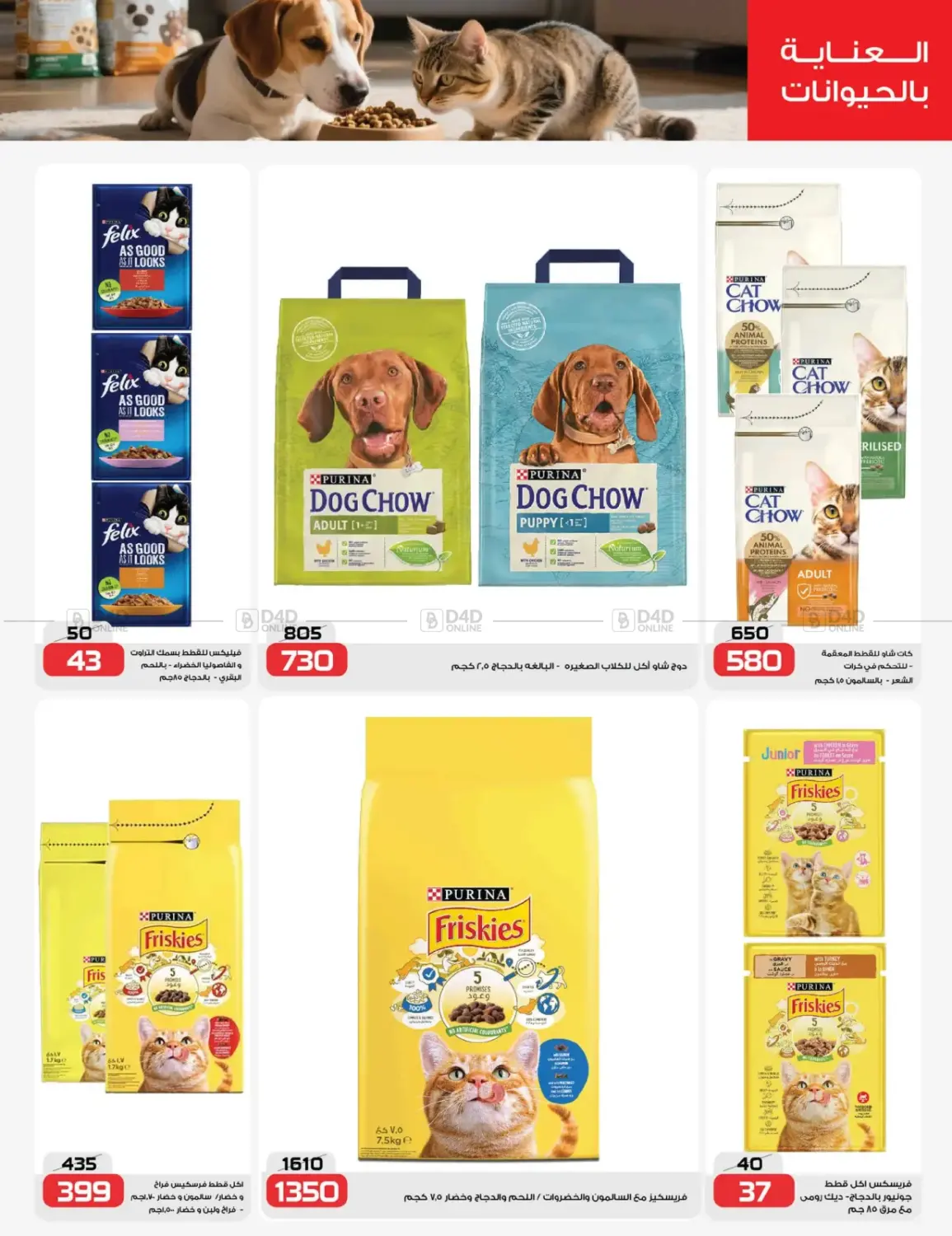 عروض خاصة in القاهرة