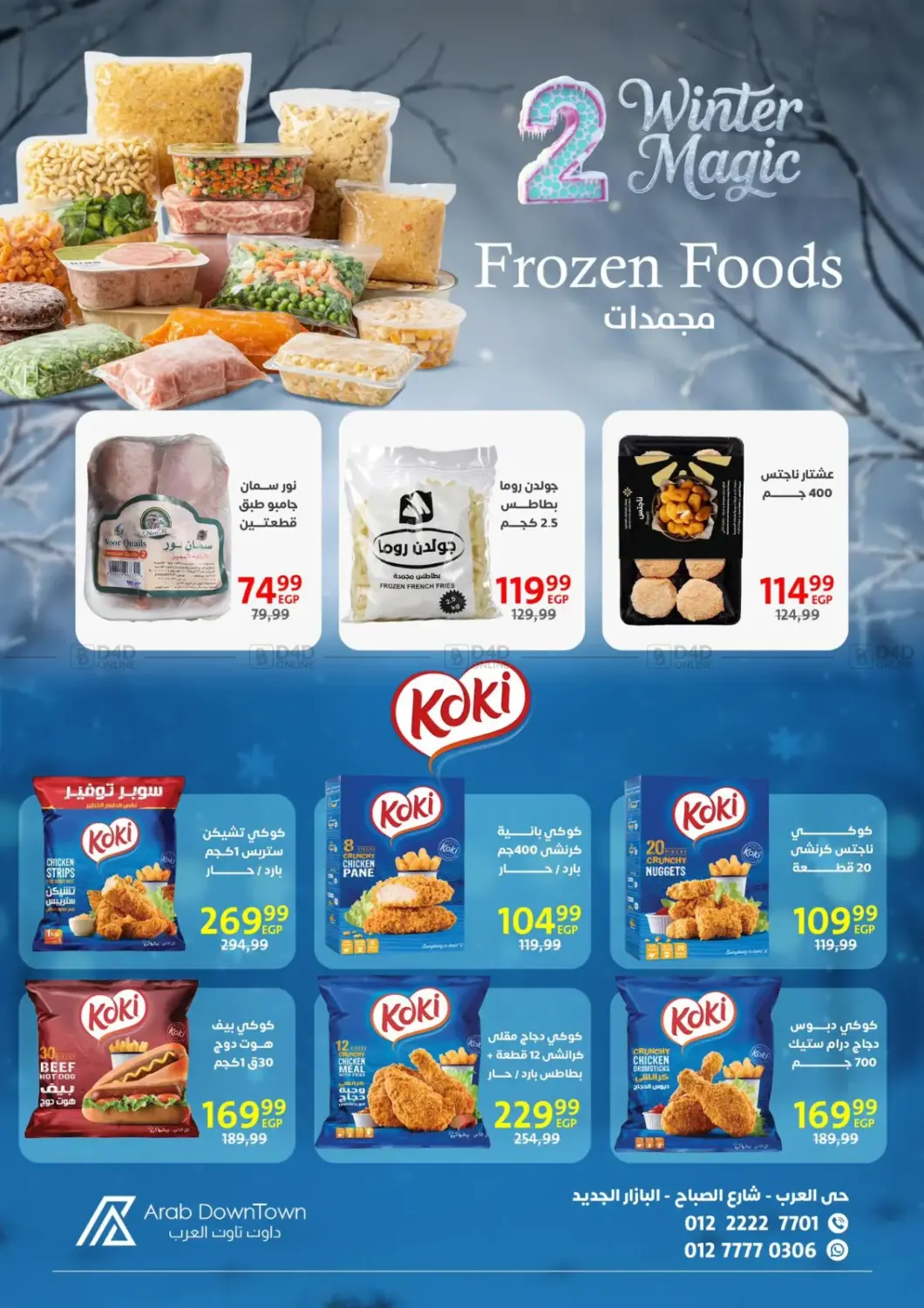 Winter Magic in Cairo