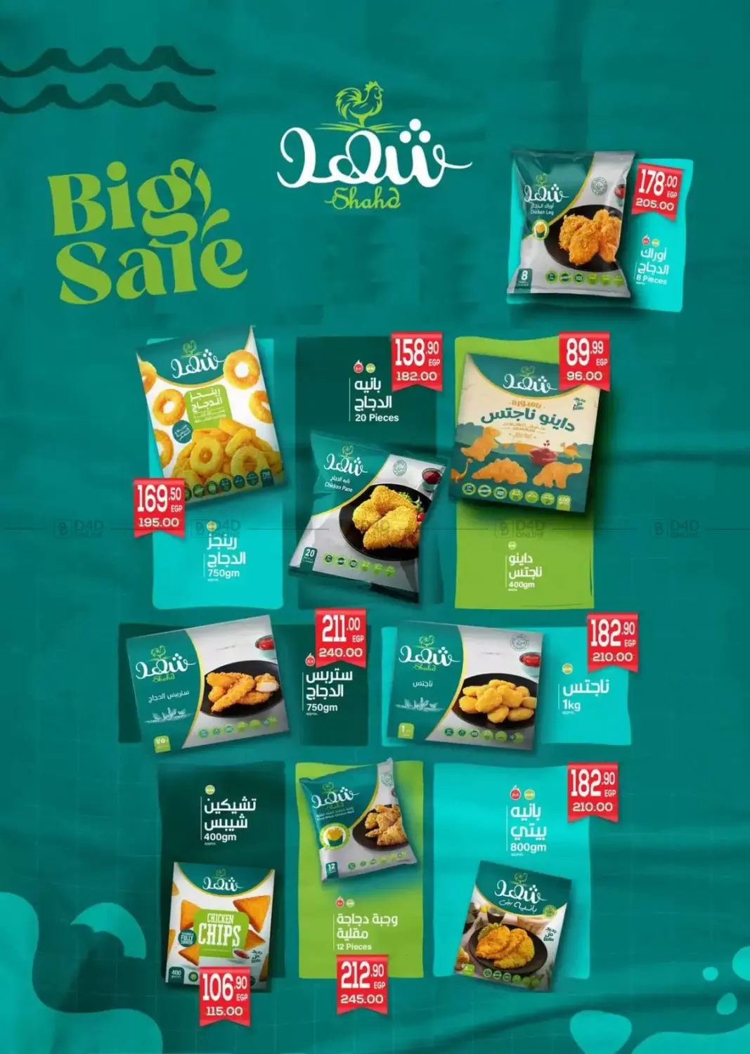 Anniversary Celebration in Cairo