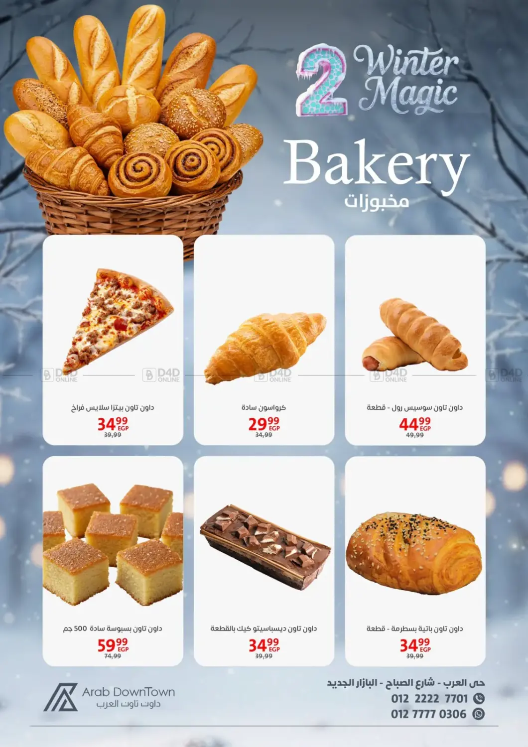 Winter Magic in Cairo