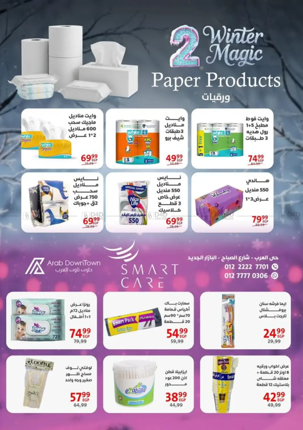 Winter Magic in Cairo