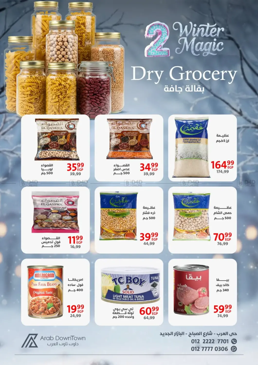 Winter Magic in Cairo