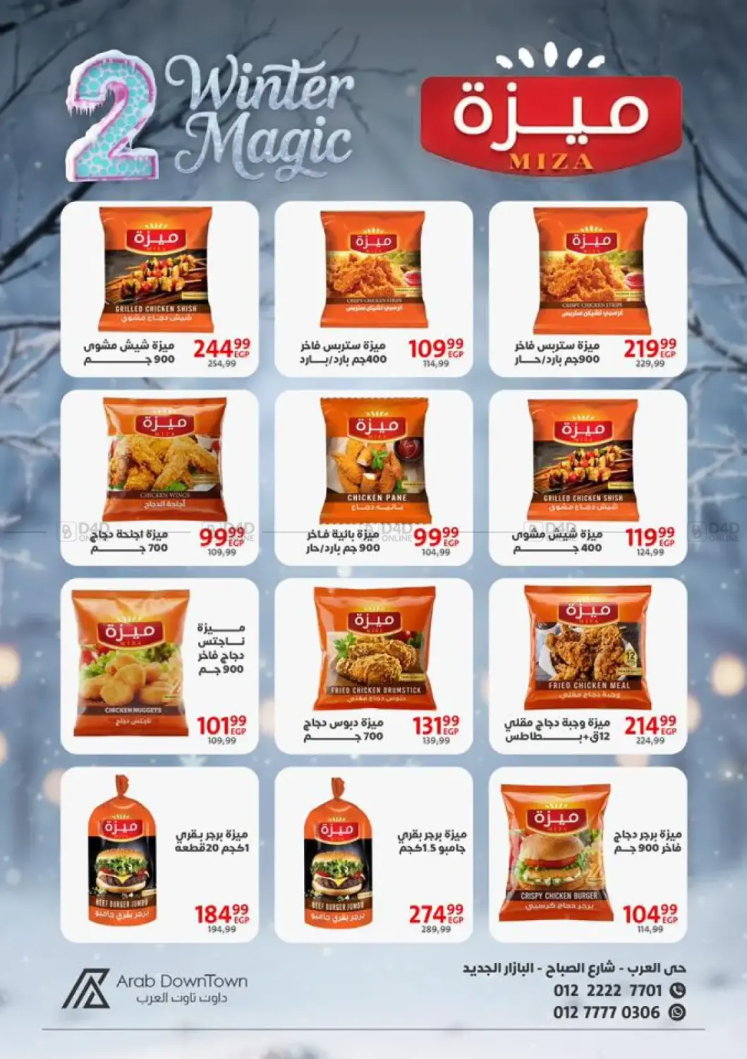 Winter Magic in Cairo