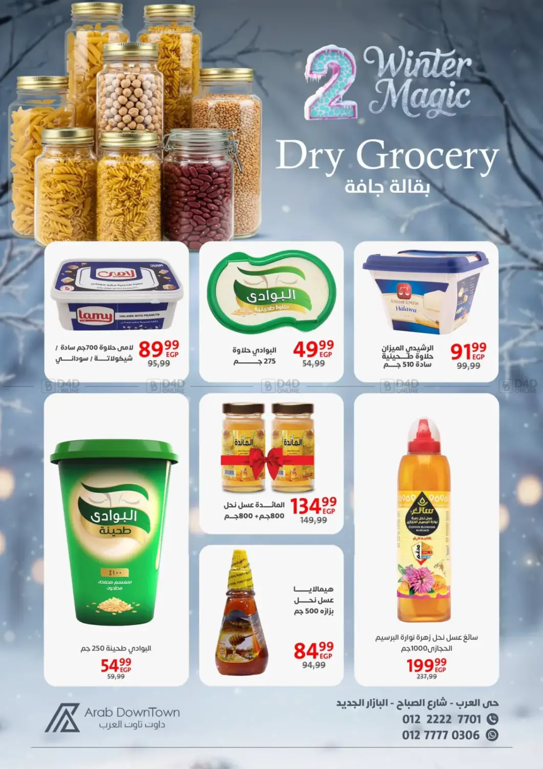 Winter Magic in Cairo