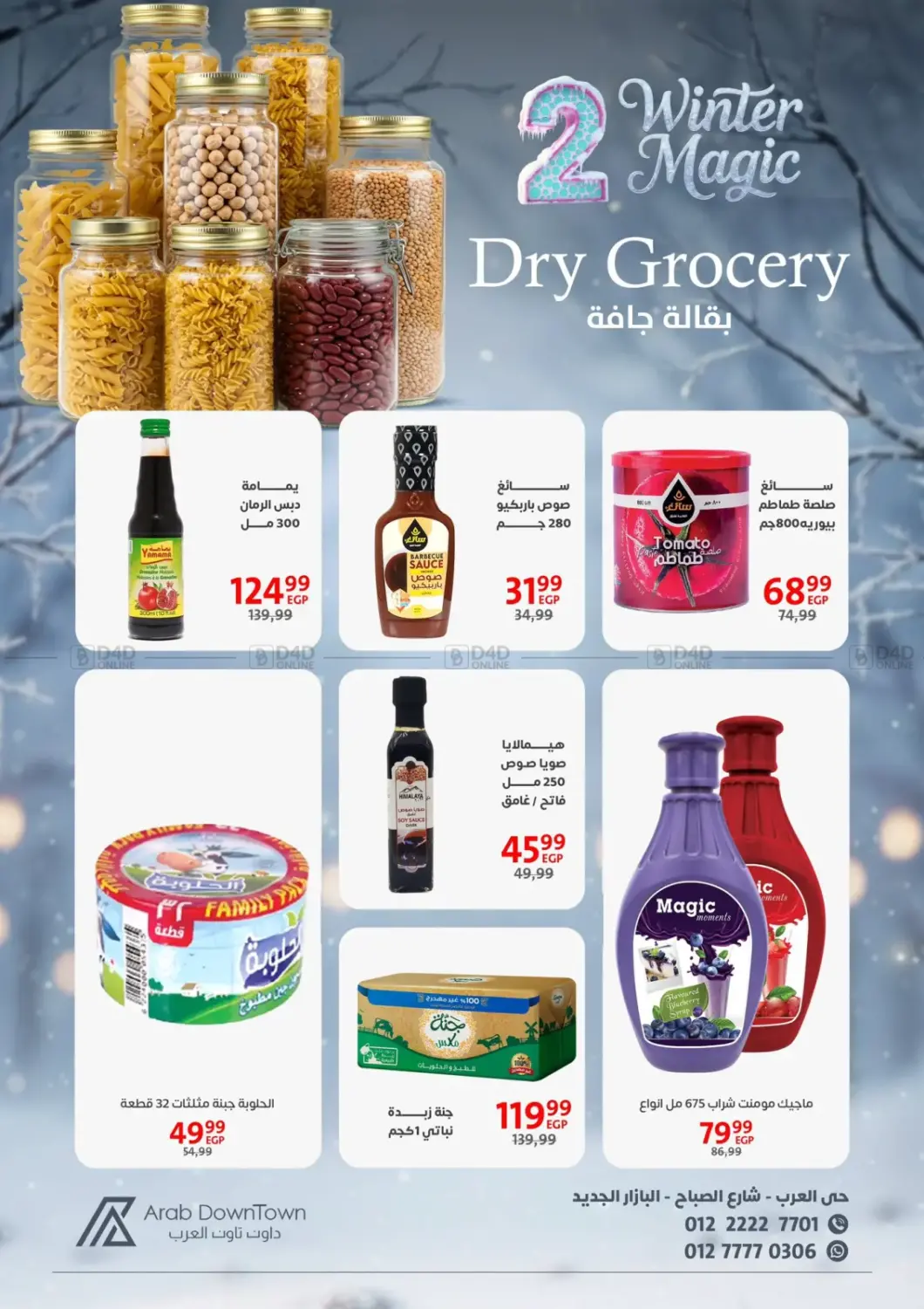 Winter Magic in Cairo