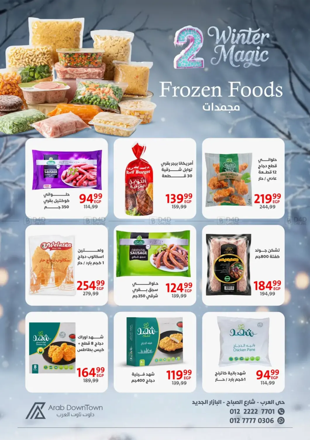 Winter Magic in Cairo