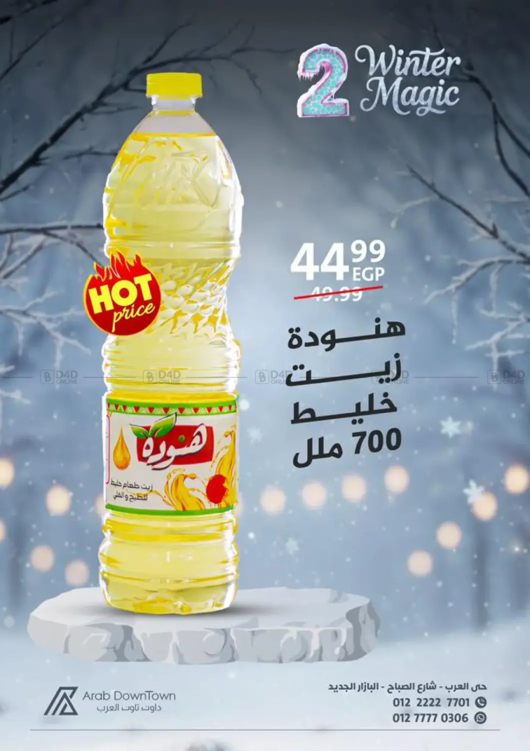 Winter Magic in Cairo