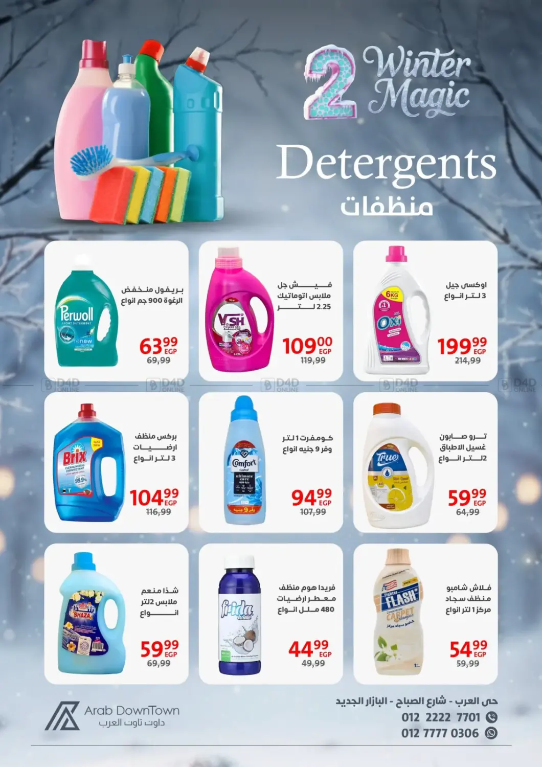 Winter Magic in Cairo