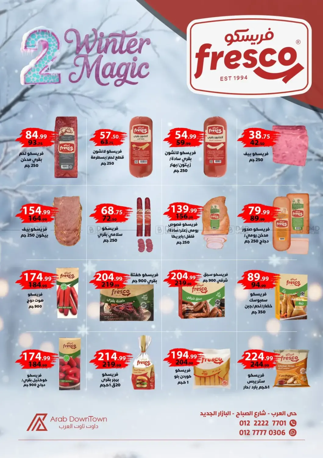 Winter Magic in Cairo