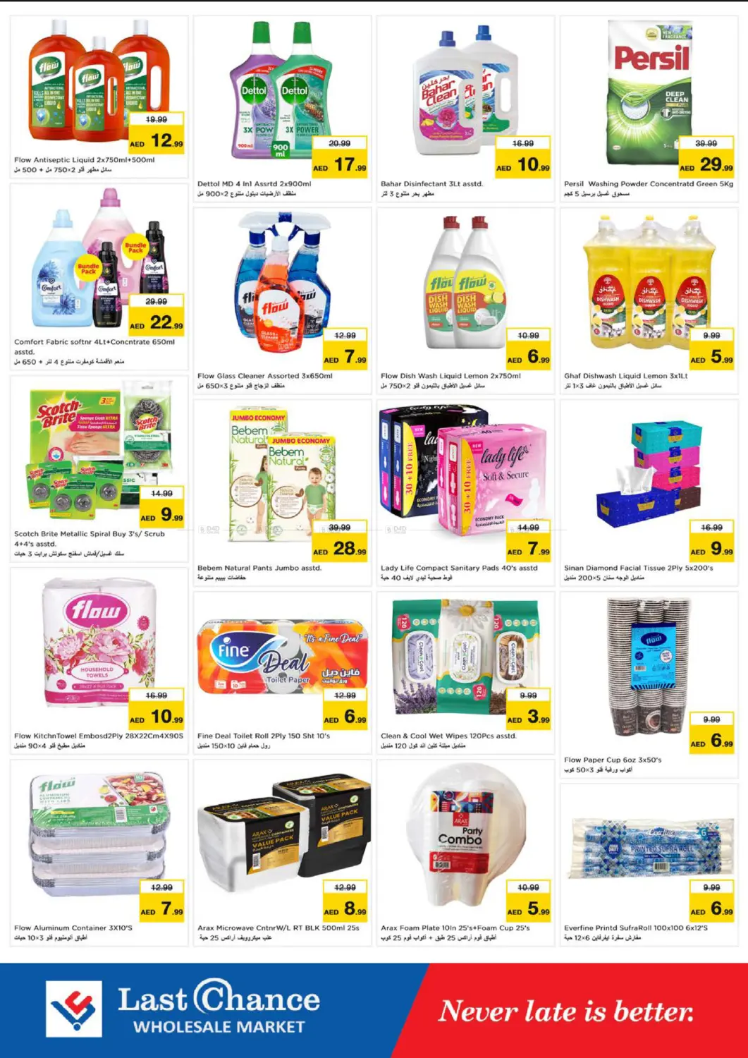 Winter Bloom in Fujairah