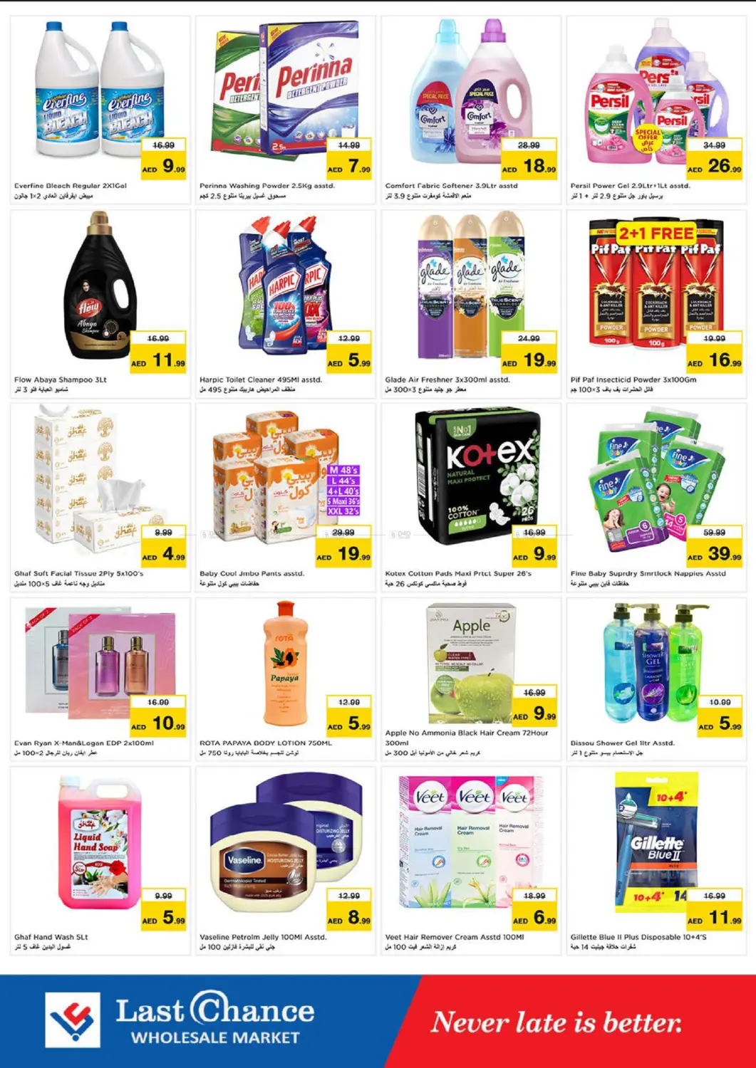 Winter Bloom in Fujairah