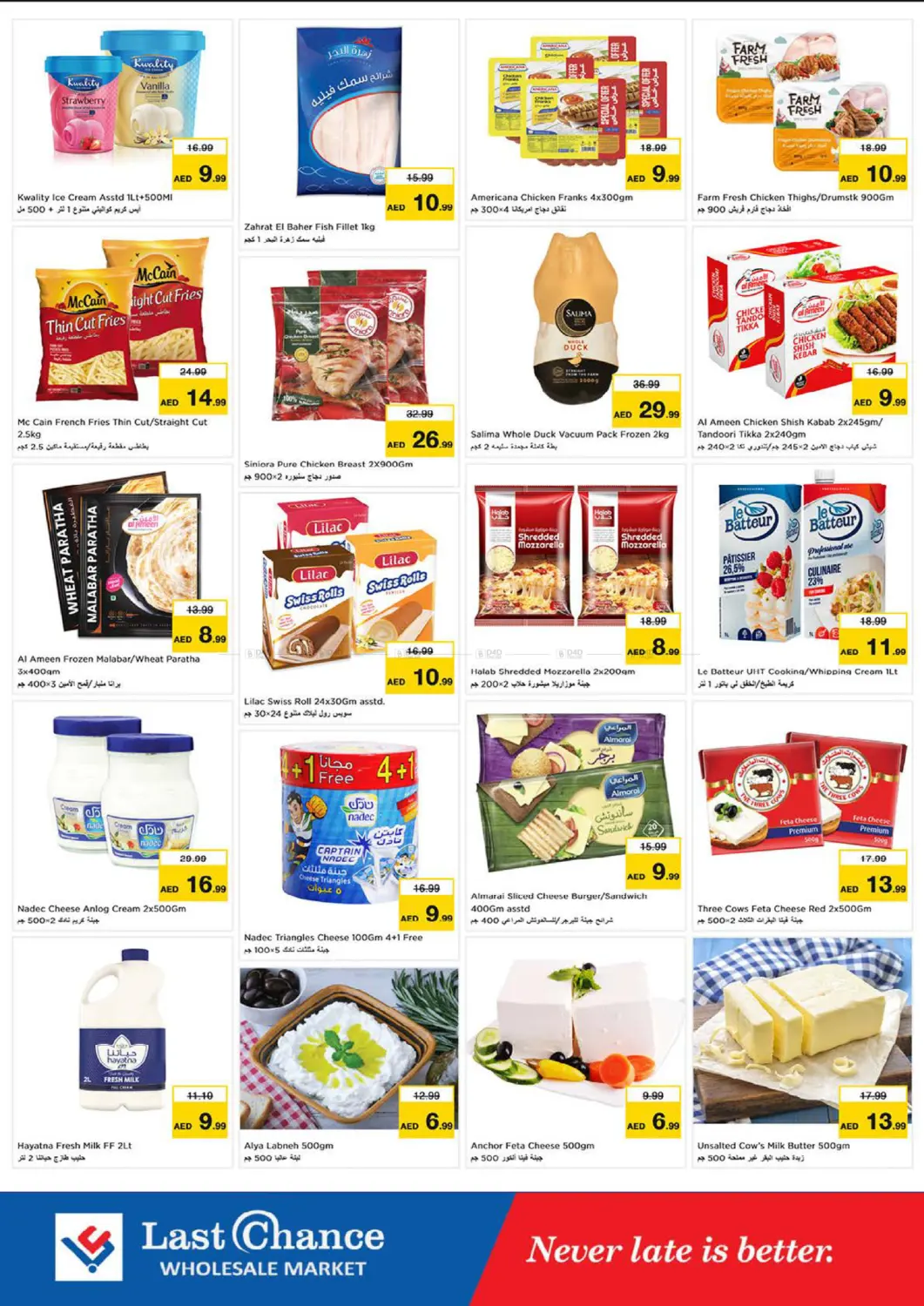 Winter Bloom in Fujairah