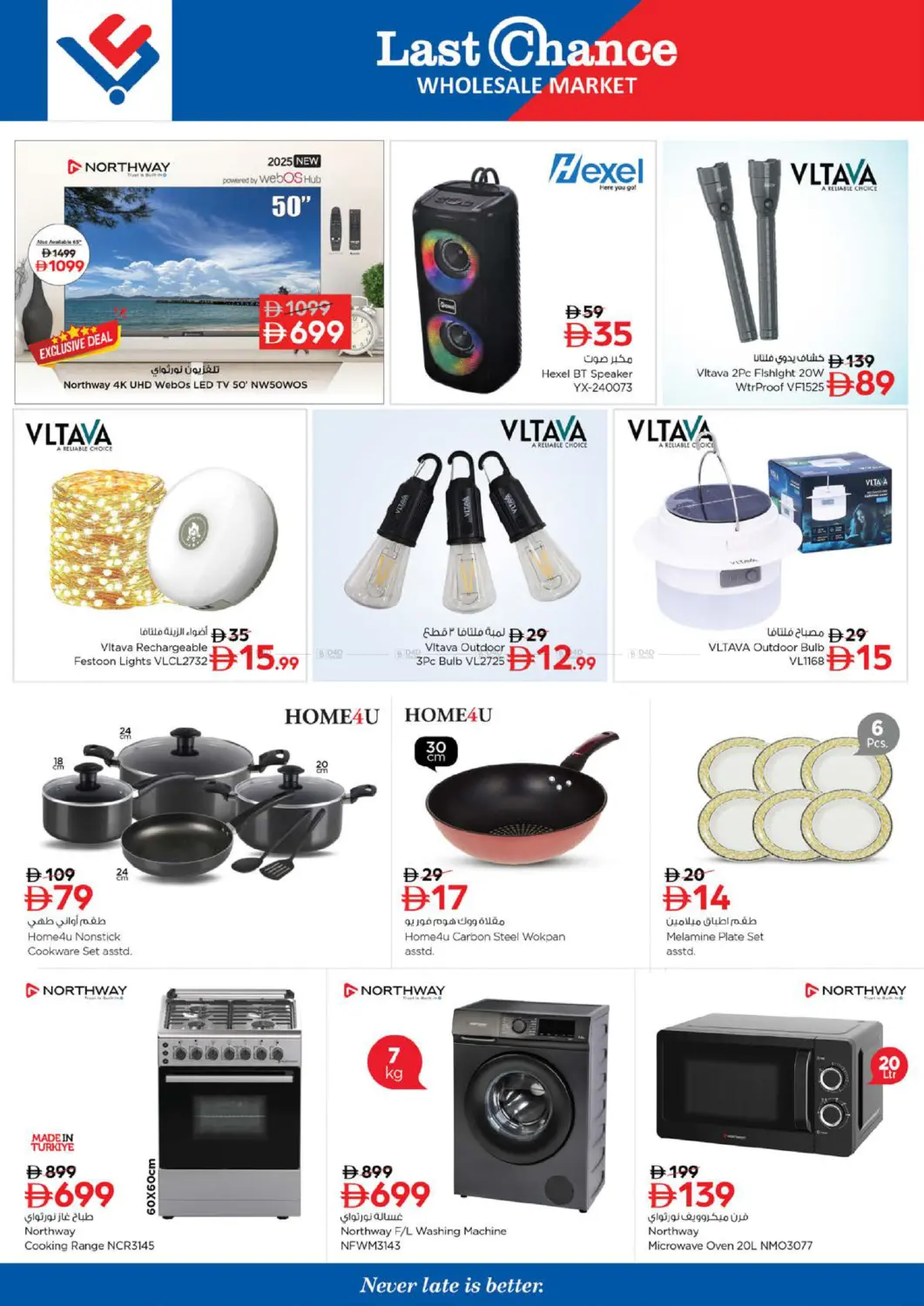 Winter Bloom in Fujairah