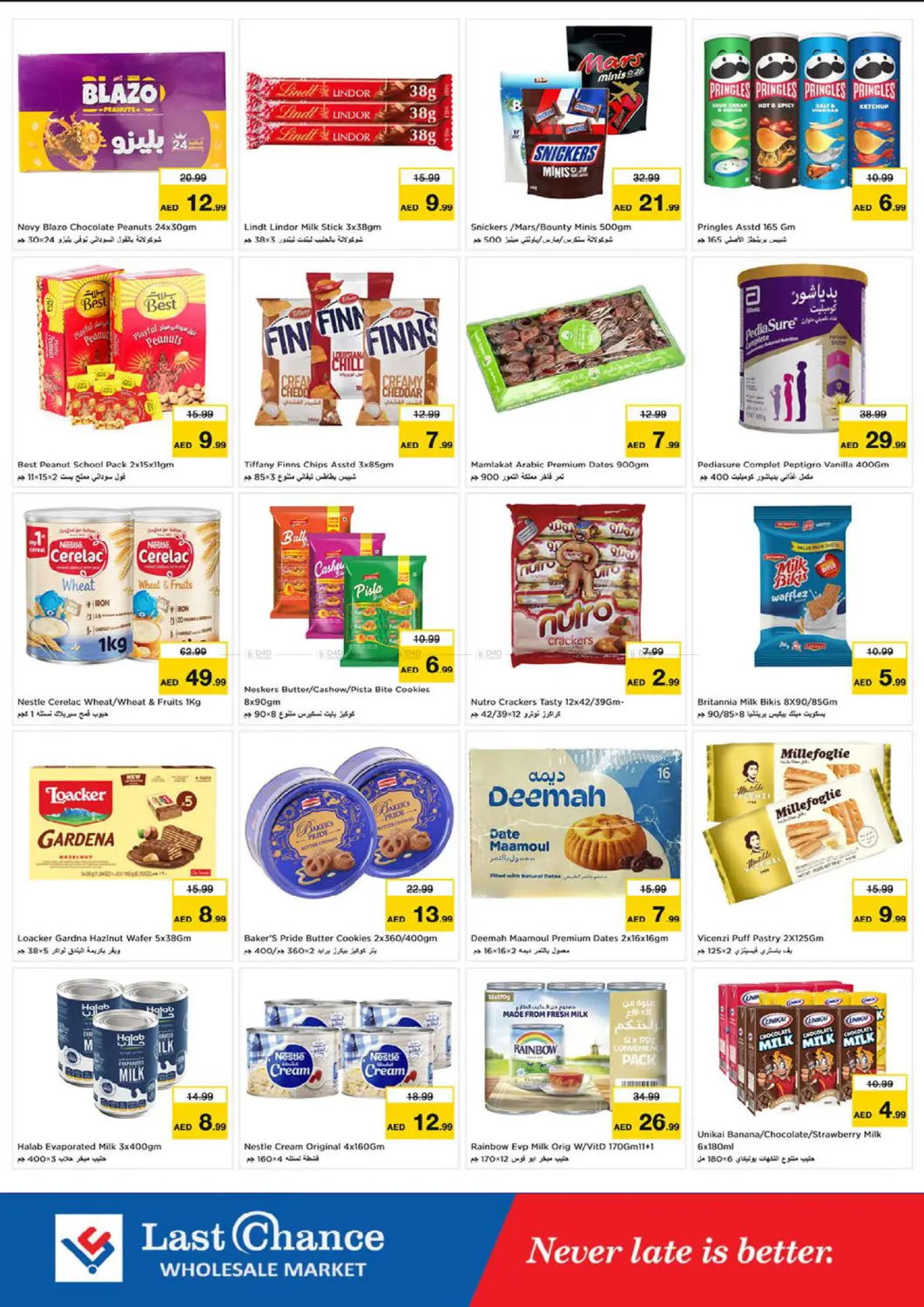 Winter Bloom in Fujairah