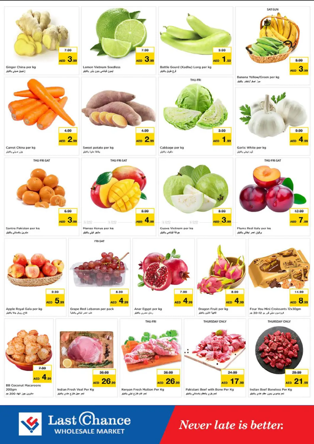 Winter Bloom in Fujairah