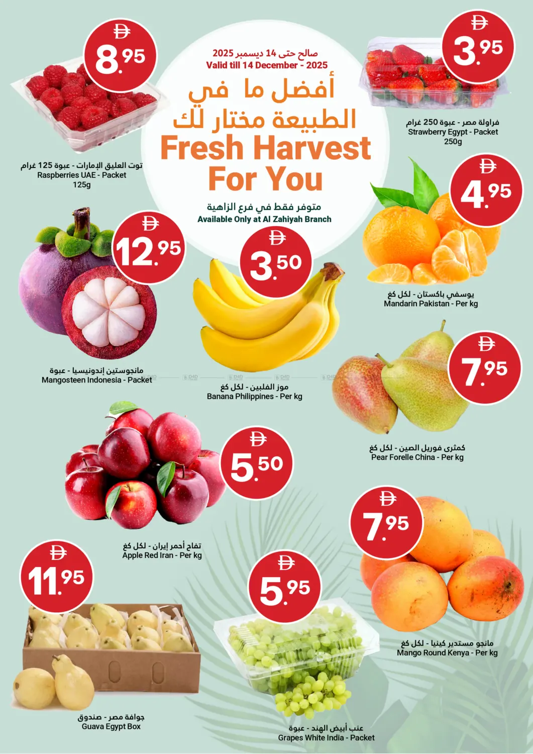 Festive Savers in Abu Dhabi