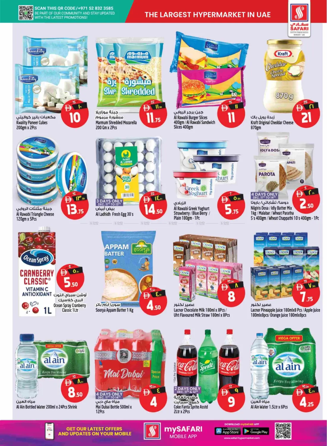 Festive Vibes in Sharjah / Ajman