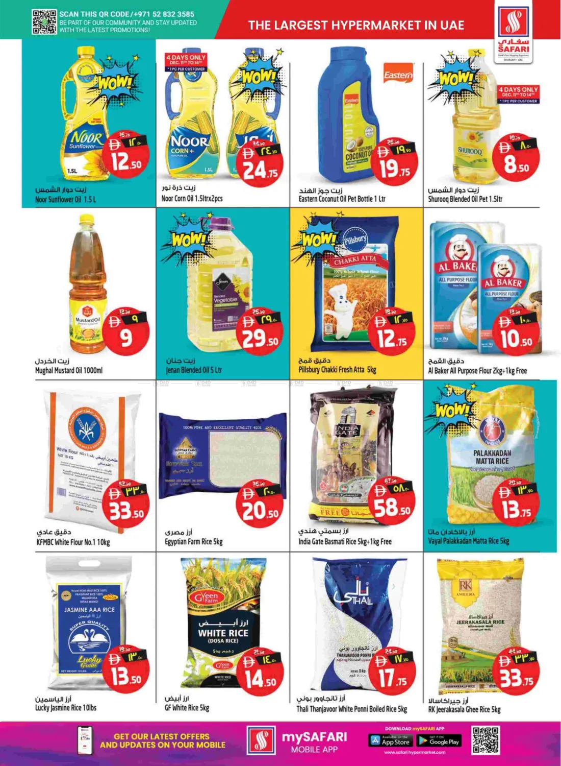 Festive Vibes in Sharjah / Ajman