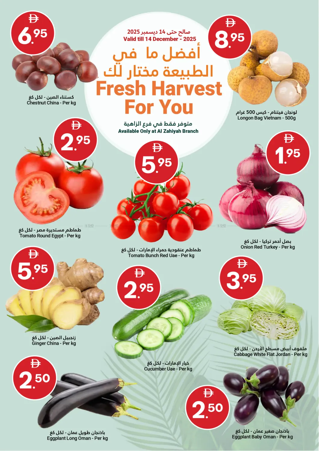 Festive Savers in Abu Dhabi