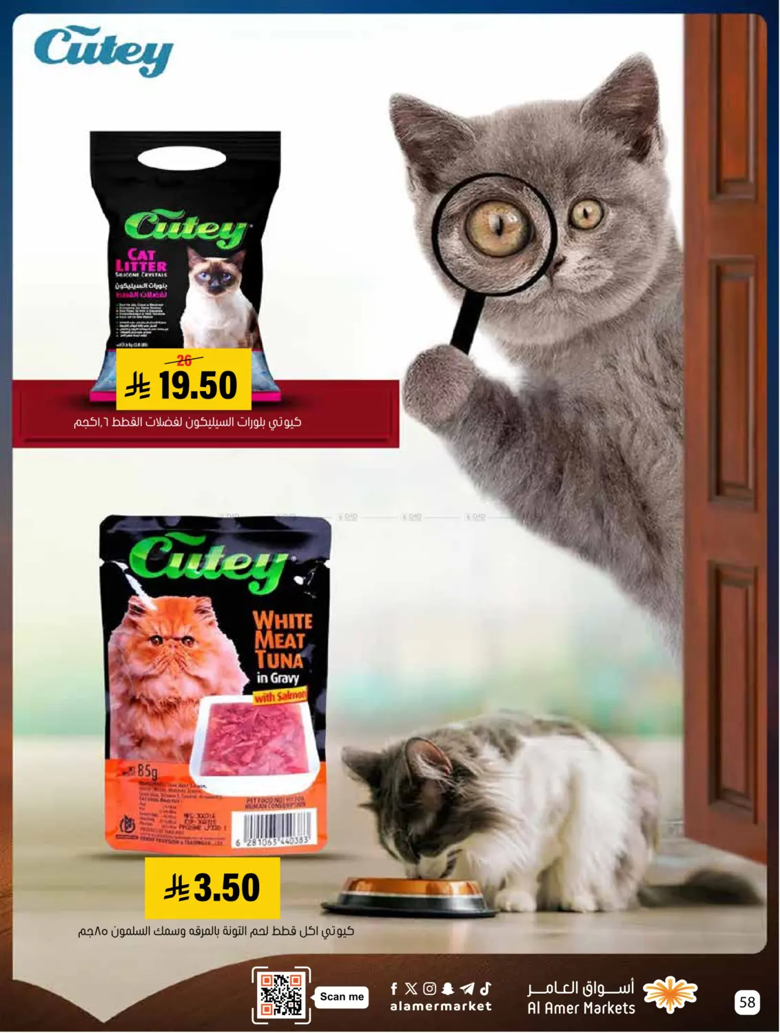 عروض الشتاء in الأحساء‎