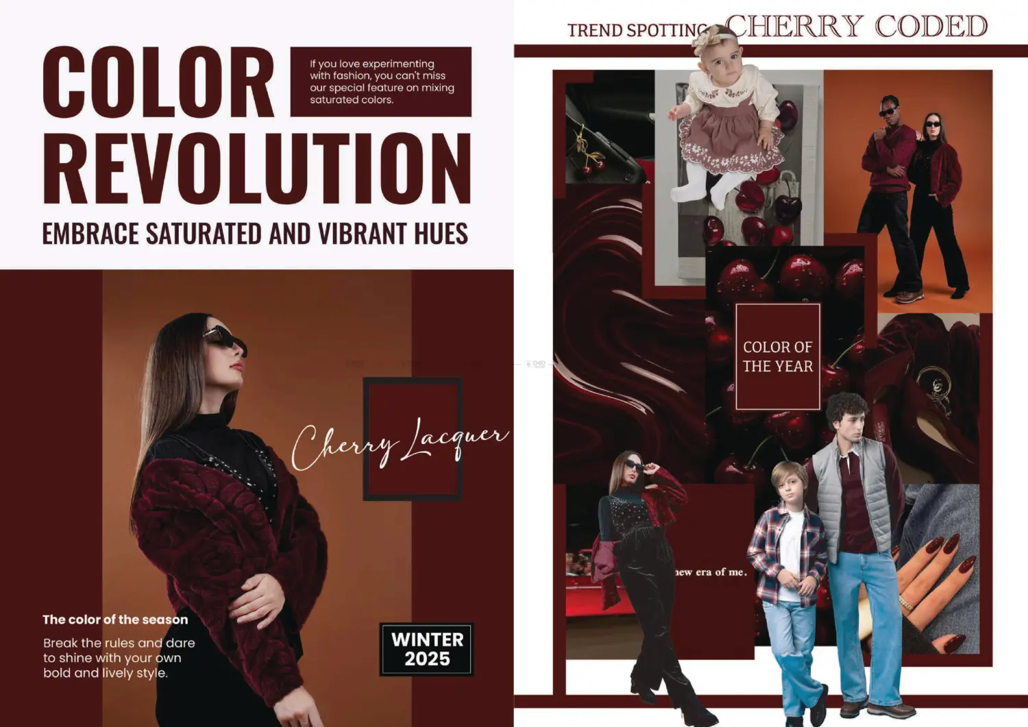 كتيب الصور in الشارقة / عجمان