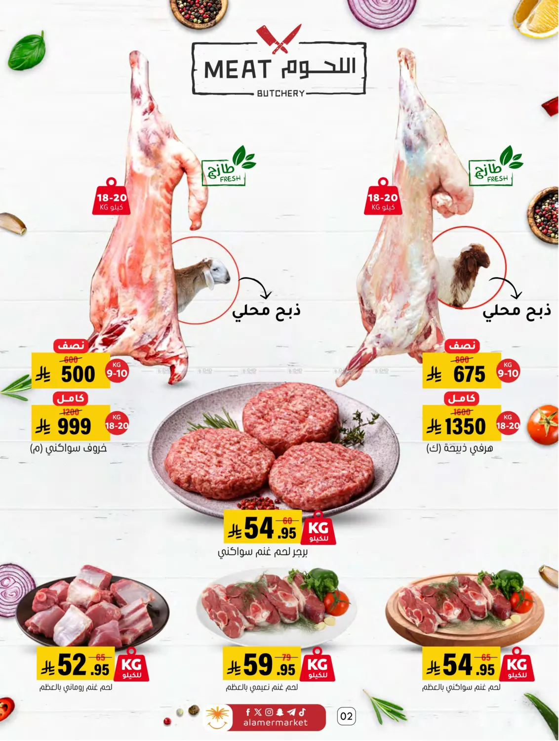 عروض الشتاء in الأحساء‎