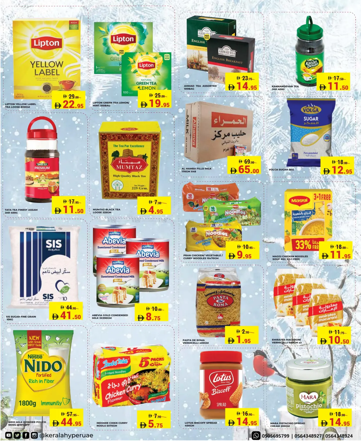 Festive Flash in Ras al Khaimah