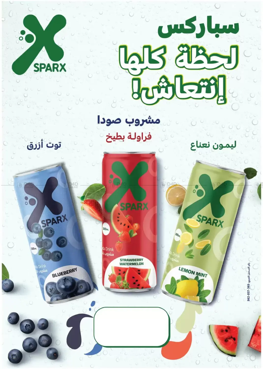 Special Offer in Cairo