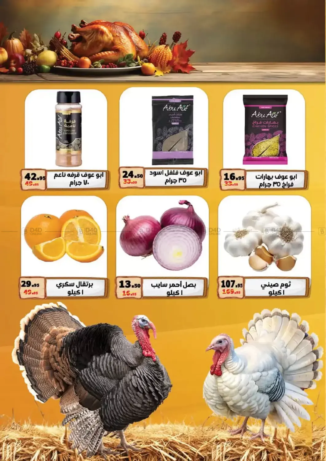 عروض خاصة in القاهرة